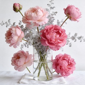 Pembe Şakayık (Peony) Aranjmanı